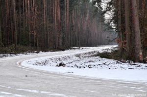 Zimowe drogi w Nadleśnictwie Dobieszyn