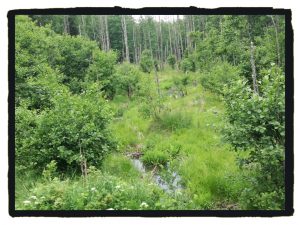 2018-05-26-I-Rajd-Wiosna-05