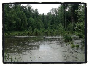 2018-05-26-I-Rajd-Wiosna-06