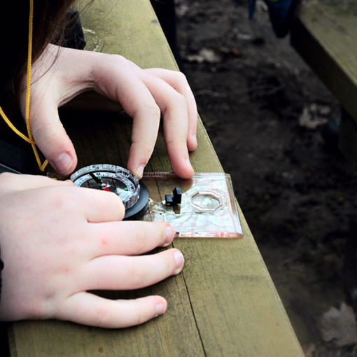 Wiosenne 2x2 - galeria