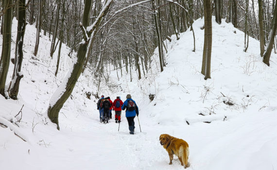 I Rajd Śladami Ryśka Bałabucha - galeria