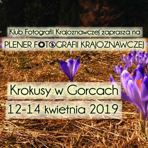 Plener fotograficzny krokusy na Turbaczu - zapowiedź