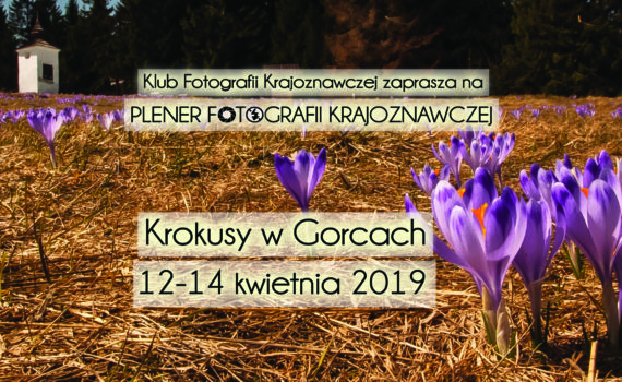 Plener fotograficzny krokusy na Turbaczu - zapowiedź