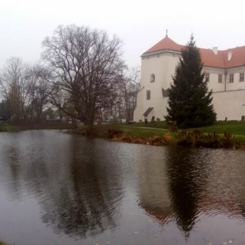 2019-11-15 z aparatem na wycieczkę prace 13