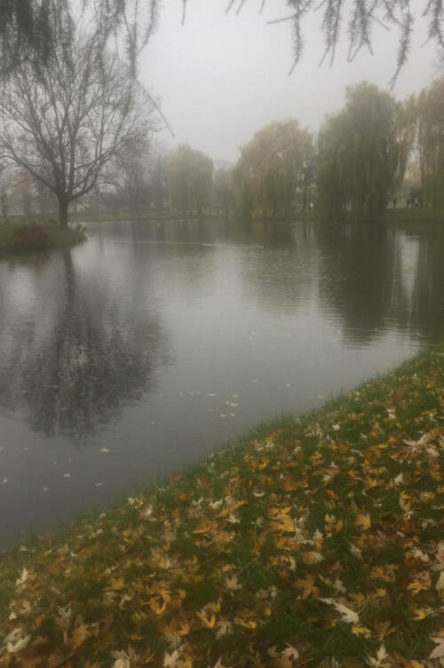 2019-11-15 z aparatem na wycieczkę prace 14