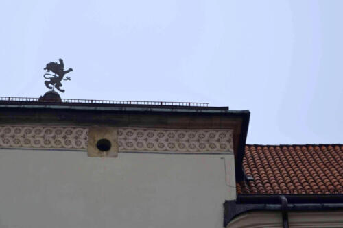 2019-11-15 z aparatem na wycieczkę prace 24