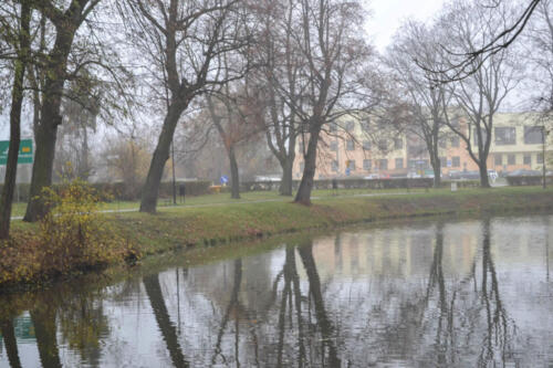 2019-11-15 z aparatem na wycieczkę prace 28
